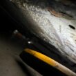 LAMBORGHINI JARAMA S 1975 BARNFIND, SPANISH PAPERS, NEEDS COMPLETE WAKE UP CALL